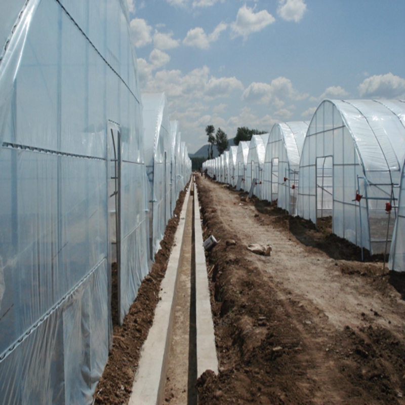 Agriculture Farming Vegetables - 0,04~0,12mm Landwirtschaftliche Gewächshausfolie für Landwirtschaftliche Nutzpflanzen