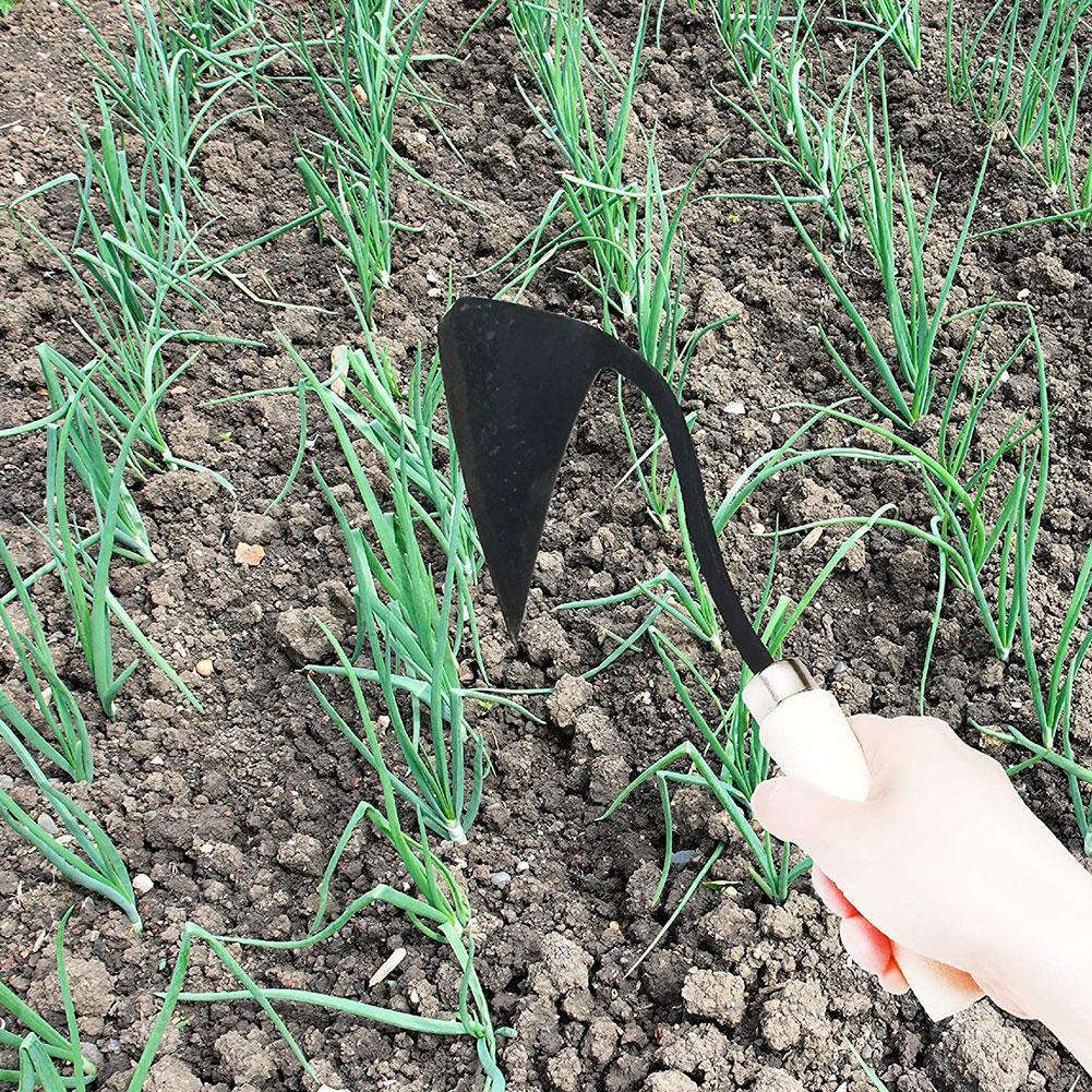 Landwirtschaftliche Werkzeuge  – Agriculture Farming Vegetables Bewertung und Preis