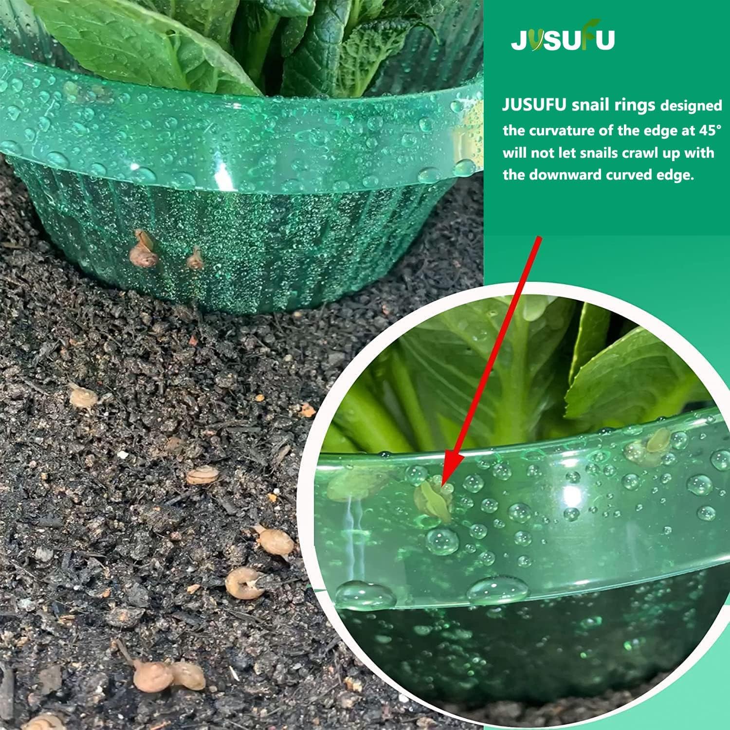 1/30 Stück Pflanzenschutzringe – Vegetable Transplanter Bewertung und Preis