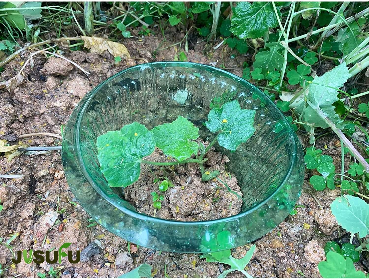 1/30 Stück Pflanzenschutzringe – Vegetable Transplanter Bewertung und Preis