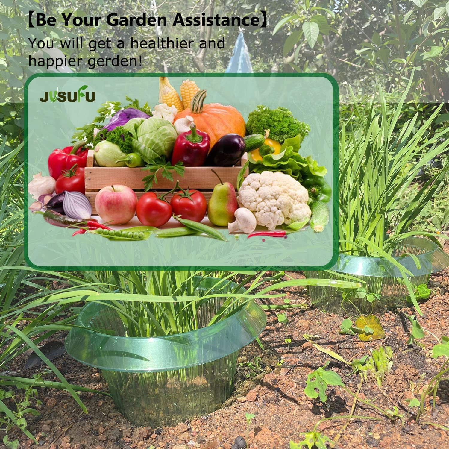1/30 Stück Pflanzenschutzringe – Vegetable Transplanter Bewertung und Preis