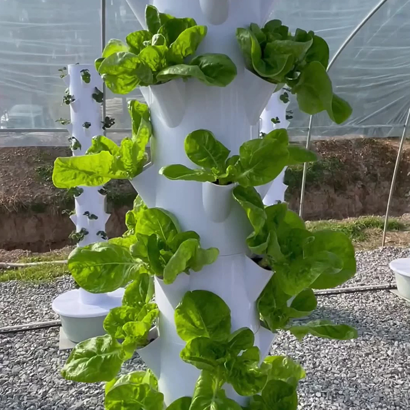 Mit Led Wachsen Licht Raum Bau – Vegetable Transplanter Bewertung und Preis