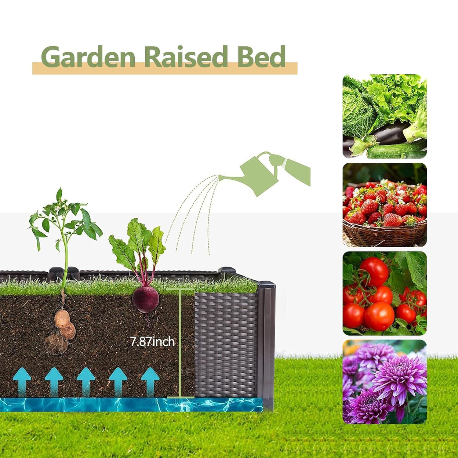 Selbstbewässerndes Hochbeet –  – Vegetable Transplanter Bewertung und Preis