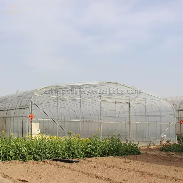 Großes begehbares Garten-Gewäc – Agriculture Farming Vegetables Bewertung und Preis
